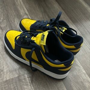 Nike Dunk Michigan